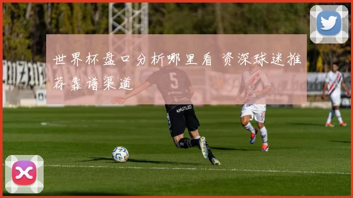 世界杯盘口分析哪里看 资深球迷推荐靠谱渠道