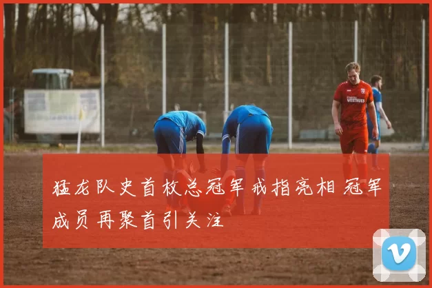 猛龙队史首枚总冠军戒指亮相 冠军成员再聚首引关注