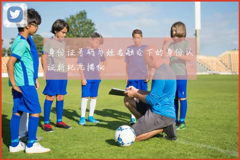 身份证号码与姓名融合下的身份认证新纪元揭秘