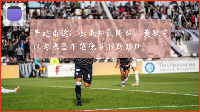 费迪南德：如果热刺降级，曼联可以考虑签下范德芬和斯彭斯