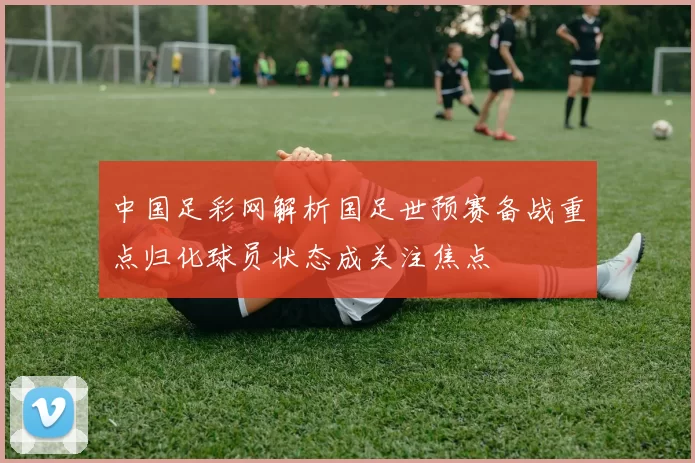 中国足彩网解析国足世预赛备战重点归化球员状态成关注焦点